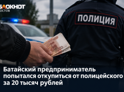 Батайский предприниматель попытался откупиться от полицейского за 20 тысяч рублей