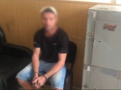 В Батайске задержали расчленителя осла 