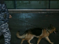 Посетителей банка в центре Ростова экстренно эвакуировали из-за опасности взрыва