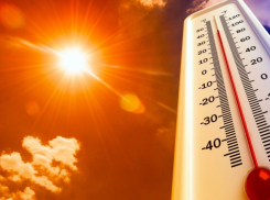 В Ростовской области ожидается пекло до +40°С