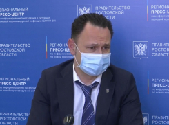 Ростовчан обвинили в создании очередей у центров выдачи пропусков