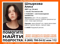 В Ростовской области несколько дней разыскивают 14-летнюю девушку