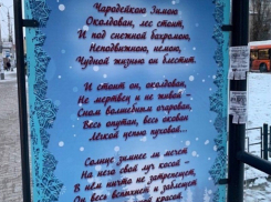 Новые остановки в Ростове-на-Дону игнорирует муниципальный транспорт