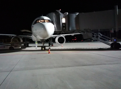 В Ростов прибудут вывозные рейсы из Индонезии и США