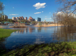 В Ростовской области опять обмелеет Дон