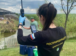 Судебные приставы заставили главу Батайска очистить водоотводный канал 