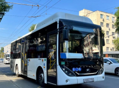 В Ростове перевозчик отказался от маршрута в «Мегу»