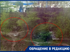 «Под окнами свалка уже почти год не убирается»: ростовчанка пожаловалась на бездействие властей