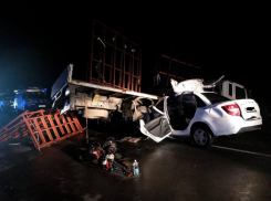 В Ростовской области в лобовом ДТП с большегрузом погибли женщина и ребенок