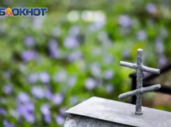 В Ростовской области смертность почти вдвое превысила рождаемость в 2025 году