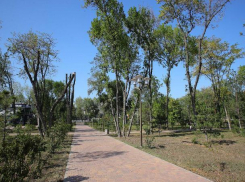 Губернатор раскритиковал власти Ростова за Левобережный парк 