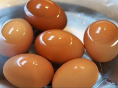 За отравление детсадовцев в Батайске будут судить начальника отдела птицефабрики