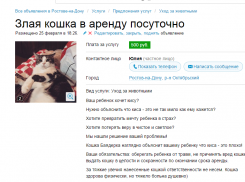 В Ростове два человека всерьез восприняли аренду «злой кошки посуточно»