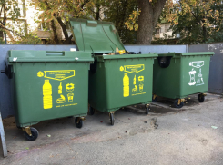 В Ростове стартовал раздельный сбор мусора 