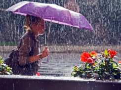 Дождливый и пасмурный вторник обещают синоптики жителям Ростова