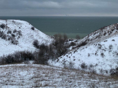 Природный парк построят на берегу Цимлянского водохранилища в Ростовской области