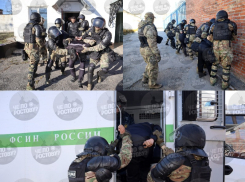 Появились кадры задержания подозреваемых в подготовке теракта 