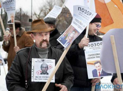 Ростовские активисты поддержали «Марш против закона подлецов» 