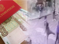 Напавший с перцовым баллончиком на ребенка ростовчанин отделался небольшим штрафом
