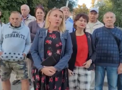 Ростовчане вновь попросили Василия Голубева остановить вырубку деревьев в парке «Дружба»