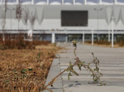 Компания Араса Агаларова не обязана следить за территорией вокруг «Ростов-Арены» 