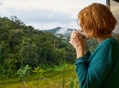 Заморозки до -1° ожидаются местами в Ростовской области