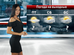 В Ростове ожидаются прохладные и ветреные выходные