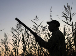 Житель Ростовской области заплатит штраф за убийство благородного оленя