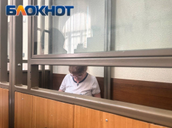 За закрытыми дверями: что скрыла от журналистов запись по делу донского экс-министра финансов Федотовой