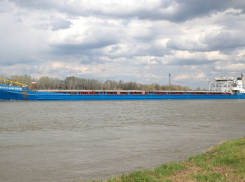 В конкурсе на строительство Багаевского узла нашли нарушения