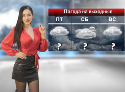 На выходных в Ростове ожидаются дожди с сильным ветром