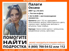 В Ростове практически месяц разыскивают пропавшего подростка