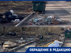 Бомжи и собаки растаскивают мусорную свалку возле Можайской рощи 