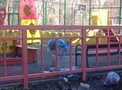 Власти после критической статьи «Блокнота Ростова» смогли «вернуть детство» маленьким жителям Октябрьского района