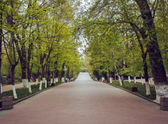 Проект реконструкции парка Горького в Ростове отправят на повторную экспертизу