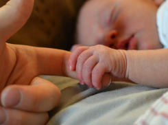 Жители Ростовской области провалили планы правительства Медведева по росту рождаемости