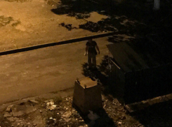 Последний мусорный бак пришлось «отбивать» от наглого воришки жильцам многоэтажки Ростова