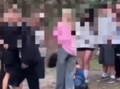 По делу об избиении таганрогской школьницы проходят семь подростков