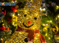 В Ростове первая рабочая неделя года начнется с морозов до -16 градусов 