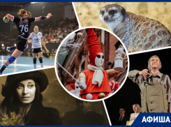 Прогулка со «слоном», гандбол и мир магии: куда сходить в Ростове 10 и 11 декабря