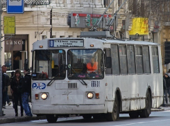 Губернатор Голубев пообещал не убивать троллейбус в Ростове