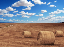 Жарко и без осадков: рассказываем о погоде в Ростове в субботу, 20 июля  