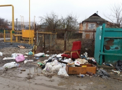 Жуткое «богатство» ростовских дачников разгневало администрацию города