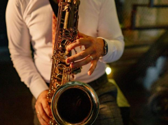 Афиша на выходные в Ростове: идем на «Шамана», слушаем джаз и наблюдаем за носорогом