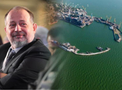 Миллиардер Владимир Лисин продала свою долю в торговом порту Таганрога