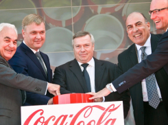 Голубев заявил, что иностранные компании не планируют покидать Ростовскую область