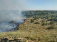 Крупный пожар в Ростовской области тушили 126 человек и вертолет