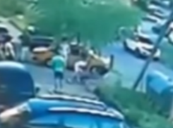 Туристы до смерти забили жителя Ростовской области на пляже в Ейске 