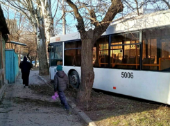 Два человека пострадали при столкновении автобуса с деревом в Ростове
