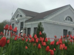 В Ростовской области на ж/д станции обнаружили муляж взрывного устройства